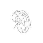 "Minimalist One Line Parrot Head Drawing: Capturing Energy and Intelligence in Simple Art"