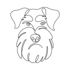 One-Line Schnauzer Drawing: Capture Facial Features in Simple Dog Art