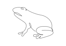 Simple Line Frog Drawing for Practicing Shapes Without Erasing or Overthinking