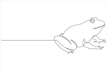 Frog Drawing for Beginners: Master Shapes with Just One Line