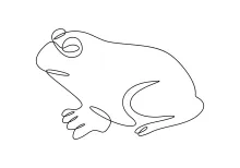 One-Line Drawing of a Frog: A Relaxing Way to Learn Animal Anatomy Basics