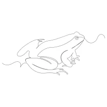 Draw a Frog in One Line to Boost Your Observation and Simplification Skills