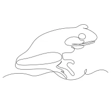 Easy Frog Drawing Using One Line: Practice Balance and Proportion the Simple Way
