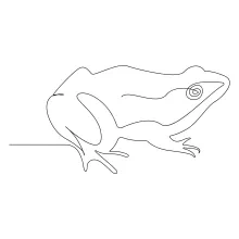 Draw a Frog in One Line: Easy Drawing Exercise for Learning Animal Outlines