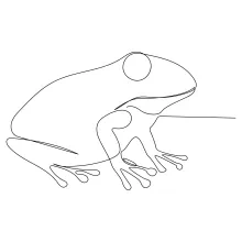 Simple One-Line Frog Drawing for Developing Artistic Observation and Control