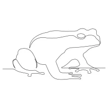 Create a Frog in One Line: Strengthen Your Drawing Skills with Easy Animal Shapes