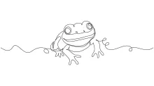 One-Line Drawing of a Frog for Practicing Animal Pose and Placement