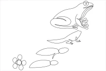 Beginner One-Line Frog Drawing: Build Drawing Confidence with Simple Animal Shapes
