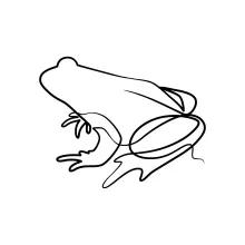 One-Line Frog Drawing for Practicing Compact Shapes and Body Placement