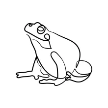 One-Line Drawing of a Frog Facing Forward for Developing Symmetry Skills