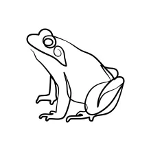 Frog One-Line Drawing for Practicing Basic Animal Forms with No Detail Needed