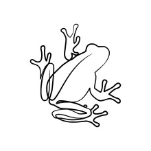 Sitting Frog One-Line Drawing: Learn Animal Structure Through Simplified Lines