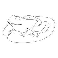 One-Line Drawing of a Frog for Practicing Animal Proportion and Simplicity