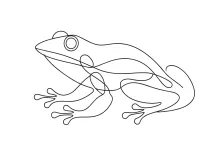 Easy One-Line Frog Drawing for Learning to See Animal Shapes as Outlines