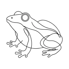 Easy One-Line Frog Drawing for Teaching Basic Forms to Beginners