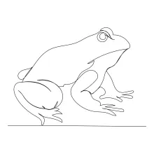 One-Line Drawing of a Frog for Improving Shape Recognition and Practice Flow