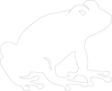One-Line Polliwog Drawing for Learning Early Animal Forms