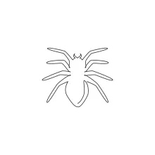 Poisonous spider continuous line drawing from nature.