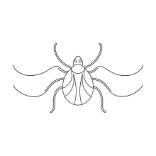 Tick insect simple continuous line illustration.
