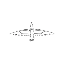 Simple One Line Albatross Drawing: Learn Long Wings and Smooth Body Shapes