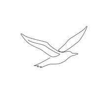 Albatross Bird in One Line: Practice Ocean Bird Shapes Easily