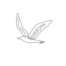 One Line Flying Albatross Drawing: Learn Big Wing Shapes with Minimal Effort