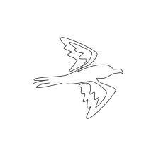 Easy One Line Albatross Sketch: Draw a Soaring Sea Bird with Confidence