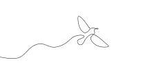 One Line Drawing of a Flying Bird: Improve Motion Awareness in Quick Sketches