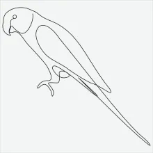 "One Line Parrot Drawing: A Minimalist Study of a Playful and Expressive Bird"