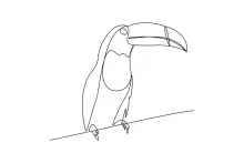 Draw a Toucan in One Line: Simple Art for Practicing Unique Bird Shapes