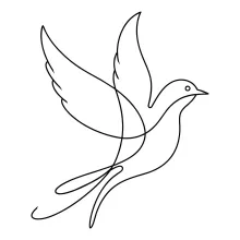"Single-Line Bird Drawing: A Beginner-Friendly Minimalist Approach to Animal Art"
