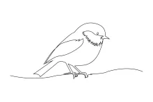 "Minimalist Sparrow Bird Sketch: A One Line Study of Stillness and Form"