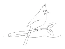 Cardinal Bird One Line Drawing: Practice Small Bird Shapes with Easy Techniques
