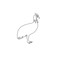 One Line Exotic Cassowary Drawing: Practice Rare Bird Forms with Simplicity