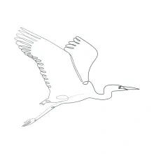 One-Line Crane Stork Drawing: Learn Tall Bird Proportions with Simple Drawing