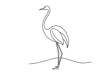 One Line Stork Bird Drawing: Practice Simple Body Shapes with Tall Bird Proportions