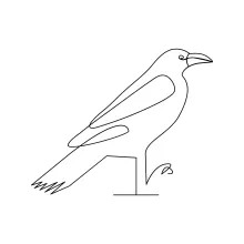 One Line Crow Drawing to Explore Bird Form and Confidence in Line Control