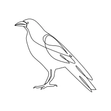 Easy One Line Crow Drawing for Beginners to Practice Shapes and Visual Simplicity