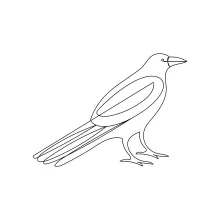 Draw a Crow with One Line to Boost Focus and Shape Awareness