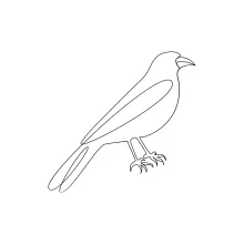 Simple One Line Crow Sketch for Quick, Accessible Bird Drawing Practice
