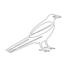 One Line Crow Sketch to Learn Essential Animal Forms Through Simplicity