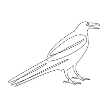 "One Line Crow Drawing: A Minimalist Study of Intelligence and Mystery"