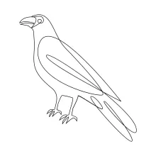 "One Line Crow Drawing: A Minimalist Approach to Capturing an Adaptable Bird"
