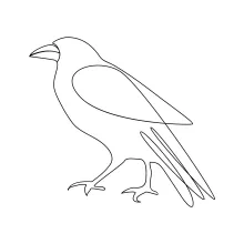 One Line Crow Drawing: Simple Art Technique for Learning Bird Shapes and Details