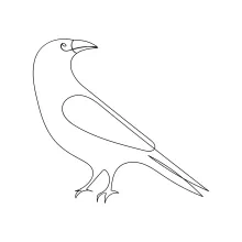 Minimalist Crow Art in One Line: Learn Shape Recognition Through Simple Drawing