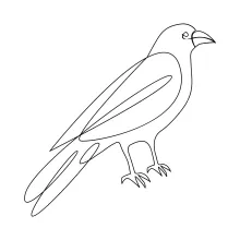 Practice Drawing a Crow with One Line: Easy Bird Art for All Ages