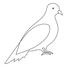 "One-Line Pet Pigeon Drawing: A Minimalist Approach to Capturing Urban Companion Birds"