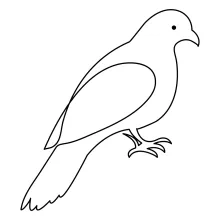 "One-Line Pet Pigeon Drawing: A Minimalist Study of a Friendly and Social Bird"