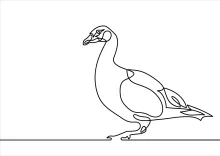 Simple One-Line Duck Drawing for Kids and Beginners to Learn Animal Shapes