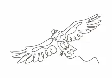 "One Line Drawing of an Eagle or Hawk: An Artistic Exercise in Bold Simplicity"